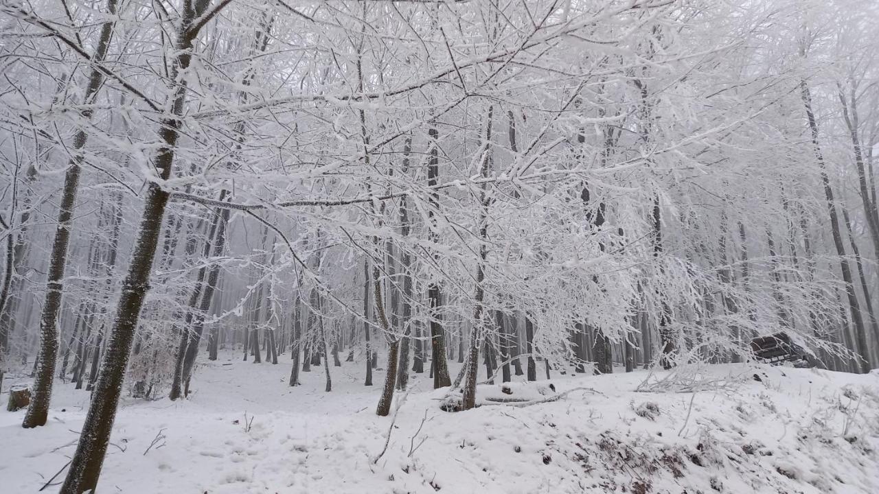 Chata Korenny Vrch Pezinska Baba 베즈녹 외부 사진