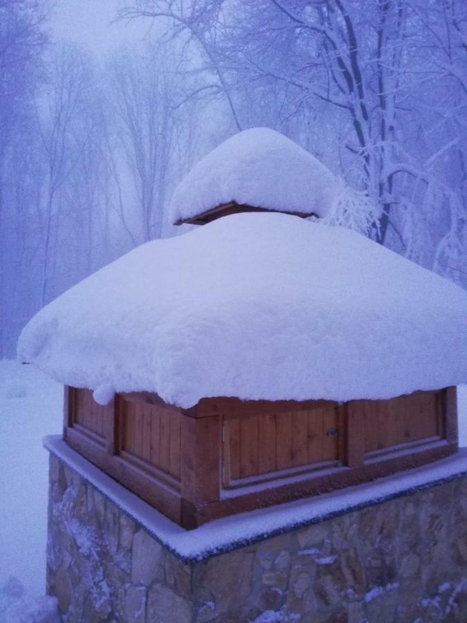 Chata Korenny Vrch Pezinska Baba 베즈녹 외부 사진